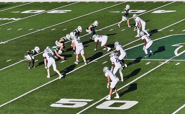 日常运作 日常运作