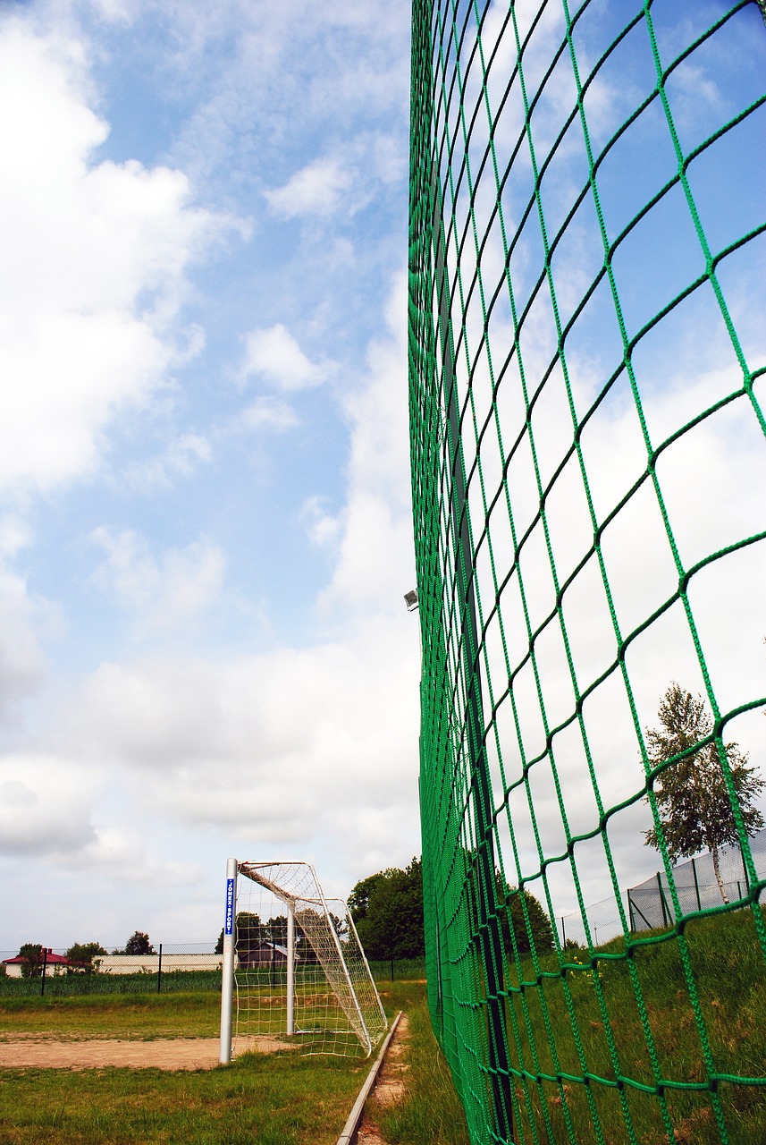 范围的球迷 范围的球迷