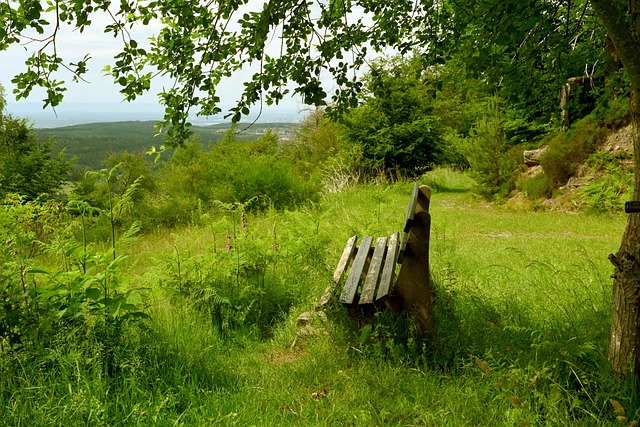 烈的西部联 烈的西部联